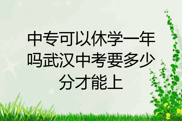 中专可以休学一年吗武汉中考要多少分才能上