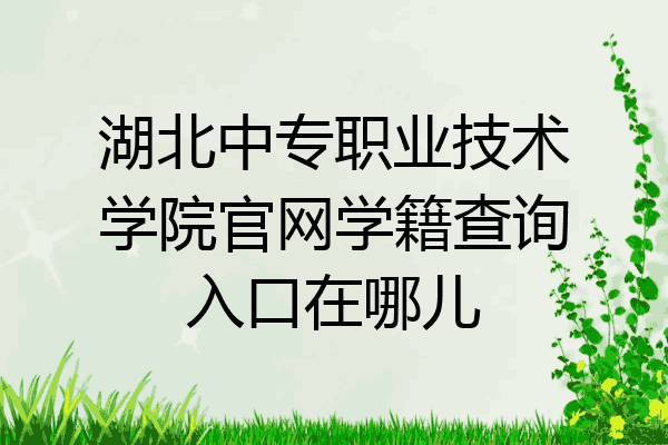 湖北中专职业技术学院官网学籍查询入口在哪儿