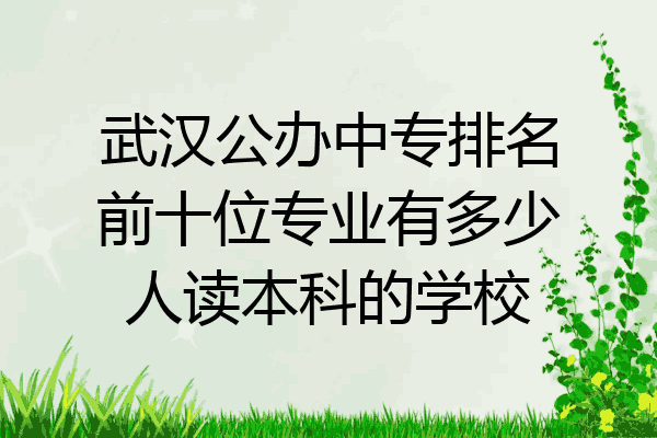 武汉公办中专排名前十位专业有多少人读本科的学校