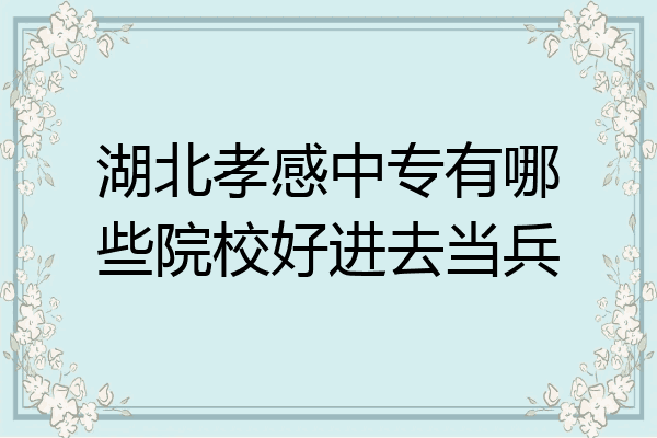 湖北孝感中专有哪些院校好进去当兵