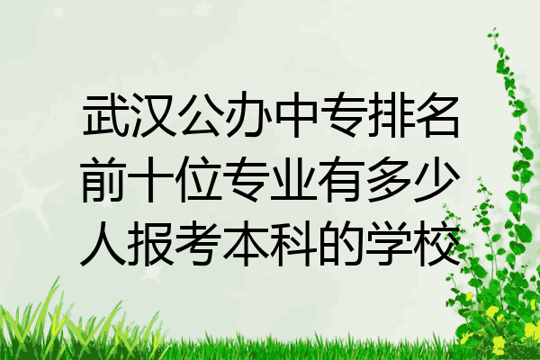 武汉公办中专排名前十位专业有多少人报考本科的学校
