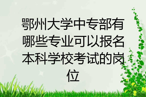 鄂州大学中专部有哪些专业可以报名本科学校考试的岗位