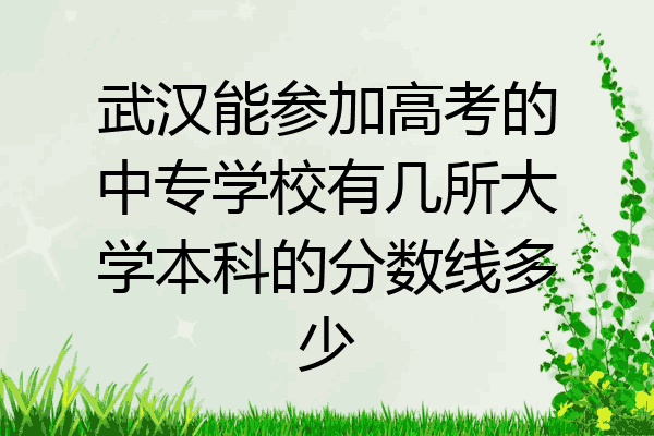 武汉能参加高考的中专学校有几所大学本科的分数线多少