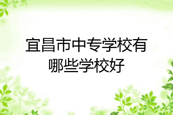宜昌市中专学校有哪些学校好