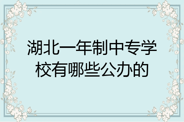 湖北一年制中专学校有哪些公办的