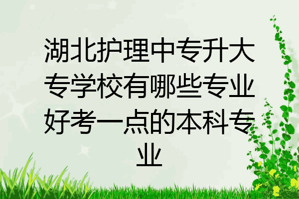 湖北护理中专升大专学校有哪些专业好考一点的本科专业