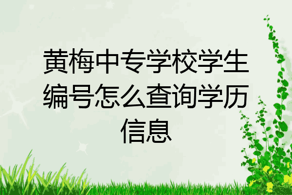 黄梅中专学校学生编号怎么查询学历信息