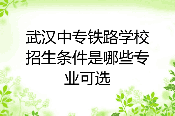 武汉中专铁路学校招生条件是哪些专业可选