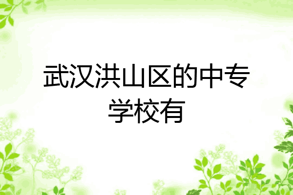 武汉洪山区的中专学校有