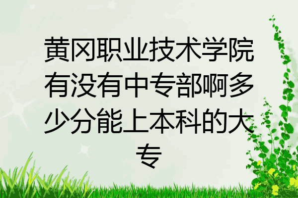 黄冈职业技术学院有没有中专部啊多少分能上本科的大专