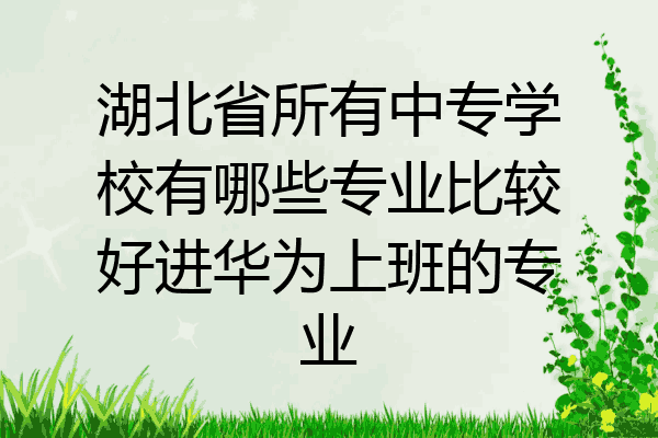湖北省所有中专学校有哪些专业比较好进华为上班的专业
