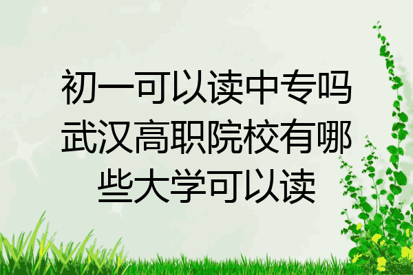 初一可以读中专吗武汉高职院校有哪些大学可以读