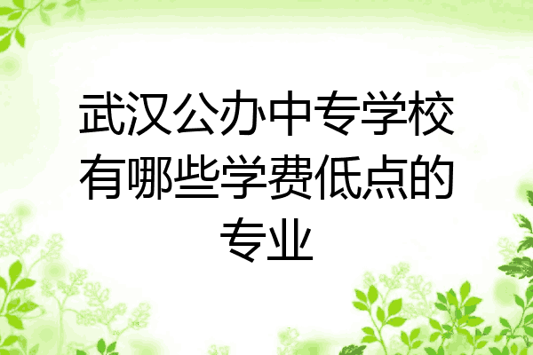 武汉公办中专学校有哪些学费低点的专业