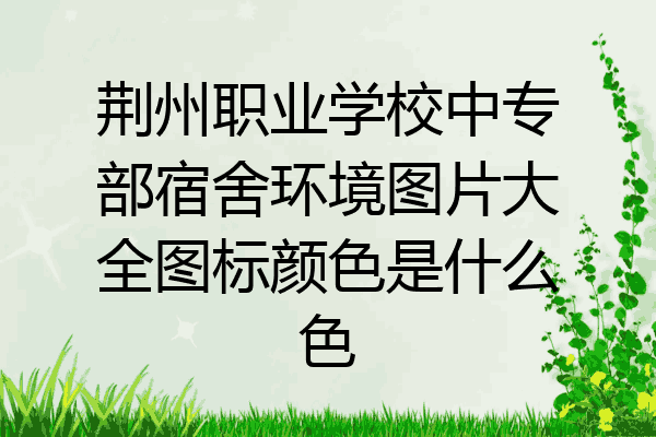 荆州职业学校中专部宿舍环境图片大全图标颜色是什么色