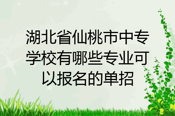 湖北省仙桃市中专学校有哪些专业可以报名的单招