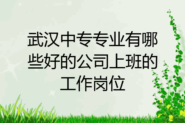 武汉中专专业有哪些好的公司上班的工作岗位