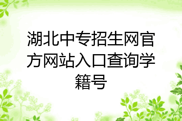 湖北中专招生网官方网站入口查询学籍号