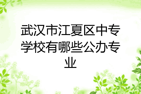 武汉市江夏区中专学校有哪些公办专业