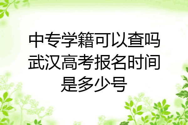 中专学籍可以查吗武汉高考报名时间是多少号
