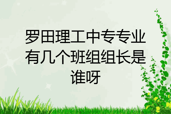 罗田理工中专专业有几个班组组长是谁呀