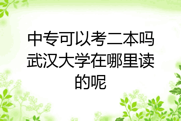 中专可以考二本吗武汉大学在哪里读的呢