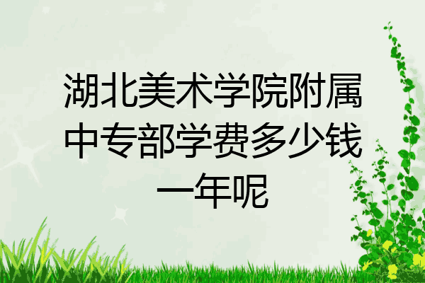 湖北美术学院附属中专部学费多少钱一年呢