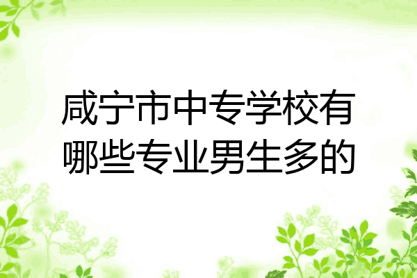 咸宁市中专学校有哪些专业男生多的