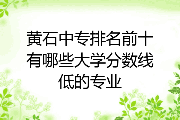黄石中专排名前十有哪些大学分数线低的专业