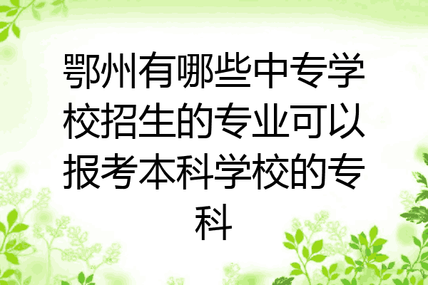 鄂州有哪些中专学校招生的专业可以报考本科学校的专科