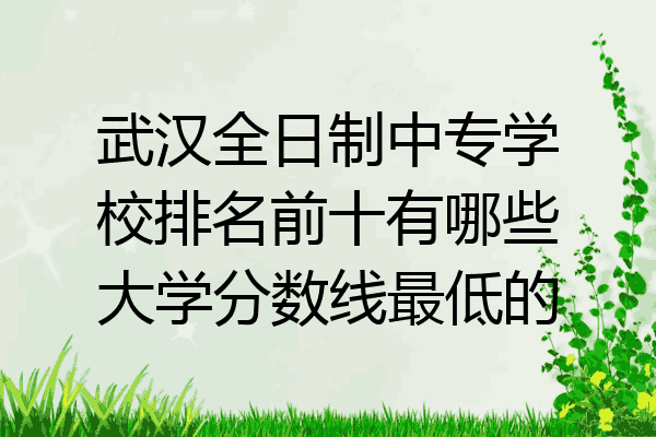 武汉全日制中专学校排名前十有哪些大学分数线最低的
