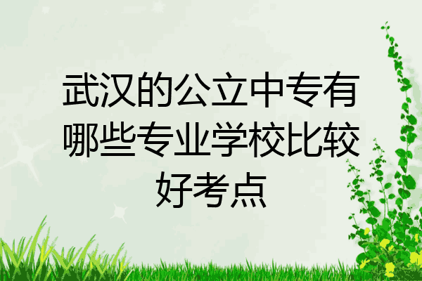 武汉的公立中专有哪些专业学校比较好考点