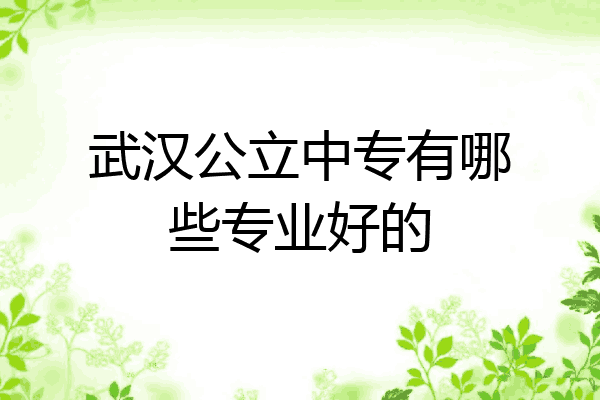 武汉公立中专有哪些专业好的