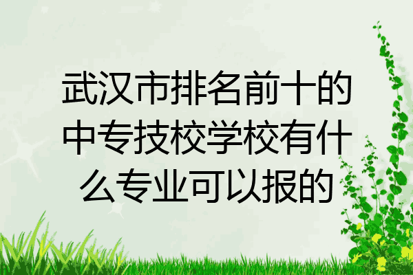 武汉市排名前十的中专技校学校有什么专业可以报的