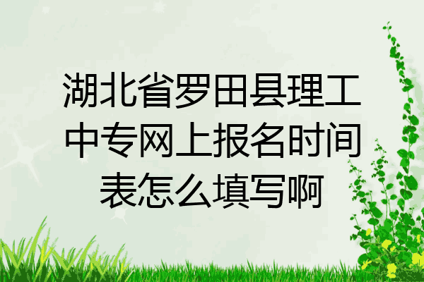 湖北省罗田县理工中专网上报名时间表怎么填写啊
