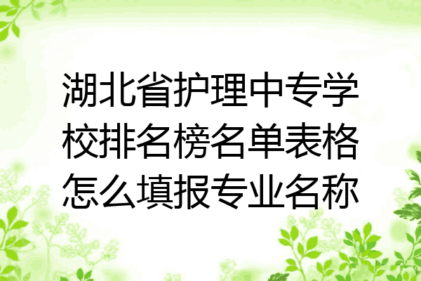 湖北省护理中专学校排名榜名单表格怎么填报专业名称