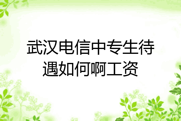 武汉电信中专生待遇如何啊工资