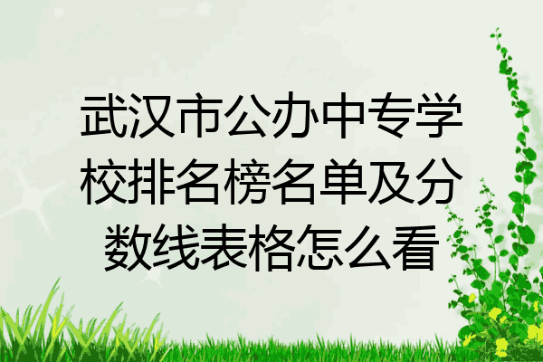武汉市公办中专学校排名榜名单及分数线表格怎么看