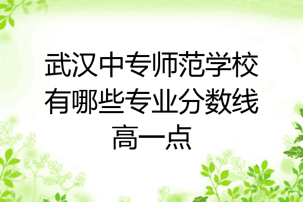 武汉中专师范学校有哪些专业分数线高一点