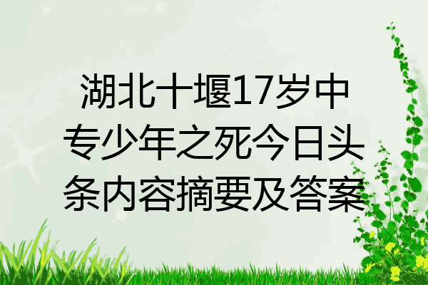 湖北十堰17岁中专少年之死今日头条内容摘要及答案