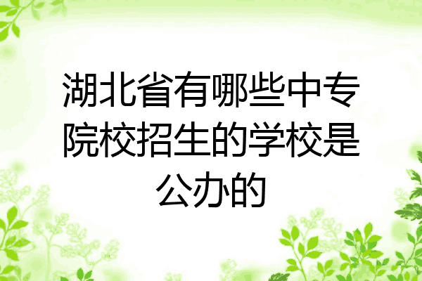 湖北省有哪些中专院校招生的学校是公办的
