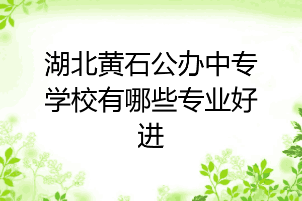 湖北黄石公办中专学校有哪些专业好进