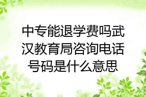 中专能退学费吗武汉教育局咨询电话号码是什么意思