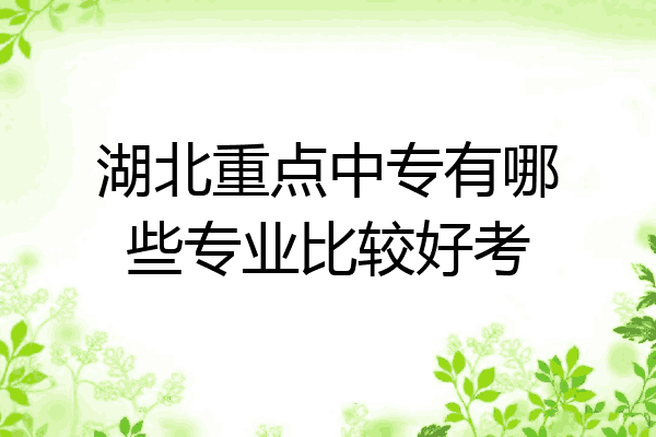 湖北重点中专有哪些专业比较好考