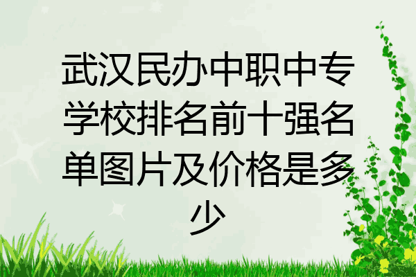 武汉民办中职中专学校排名前十强名单图片及价格是多少