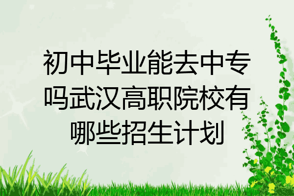 初中毕业能去中专吗武汉高职院校有哪些招生计划
