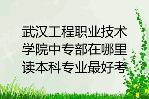 武汉工程职业技术学院中专部在哪里读本科专业最好考