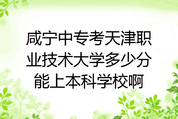 咸宁中专考天津职业技术大学多少分能上本科学校啊