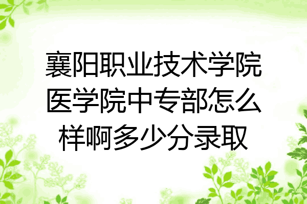 襄阳职业技术学院医学院中专部怎么样啊多少分录取