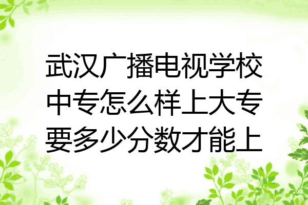 武汉广播电视学校中专怎么样上大专要多少分数才能上
