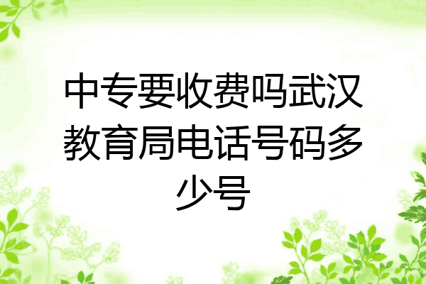 中专要收费吗武汉教育局电话号码多少号